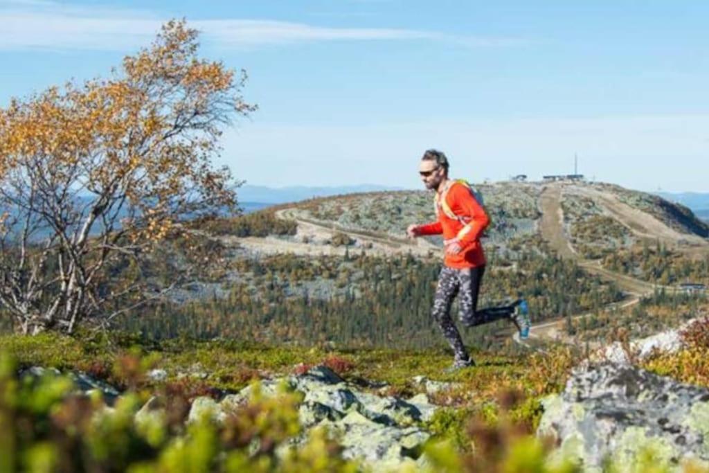 Bjoernrike Vemdalen. Mitt I Backen Vemdalen